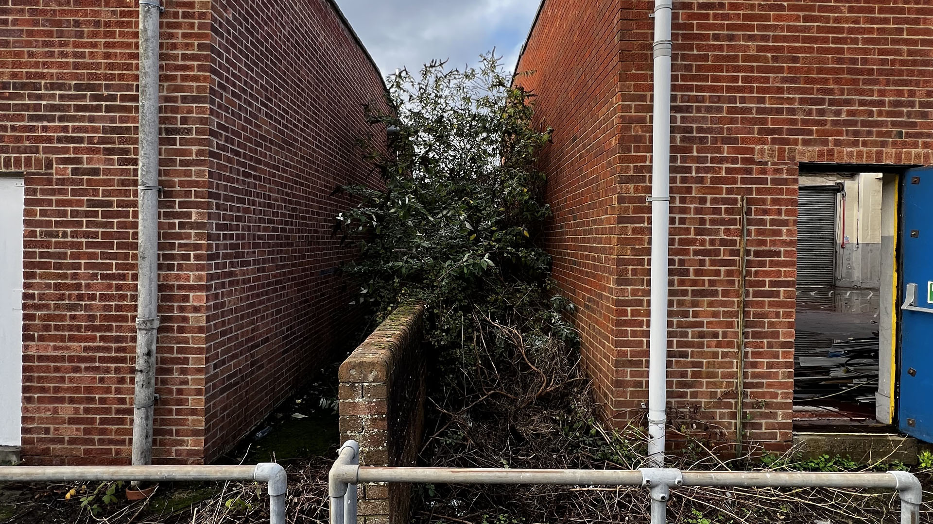 Who Should You Contact First — The Council, a Surveyor, or Your Neighbour Maidenhead?